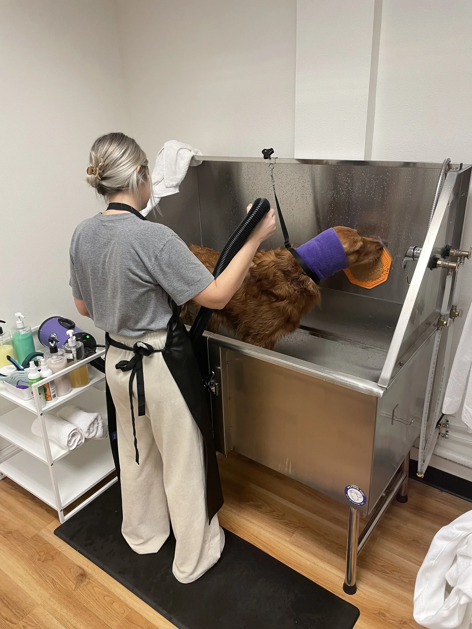 A customer drying her dog, who wears a Happy Hoodie, at a self-service tub